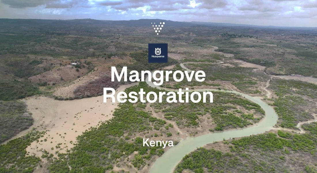 ROOTS OF HOPE: THE FIGHT TO SAVE KENYA’S MANGROVE FORESTS