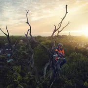 Husqvarna T540i XP Chainsaw