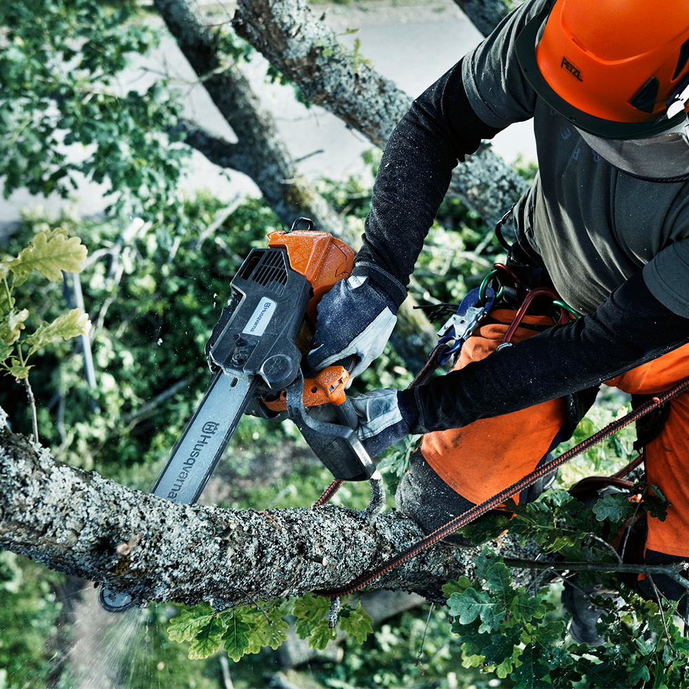 T540XP® Chainsaw