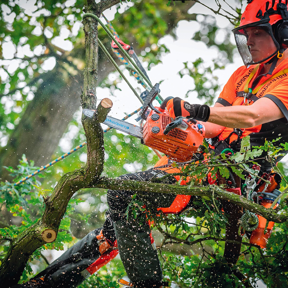 T525 Chainsaw