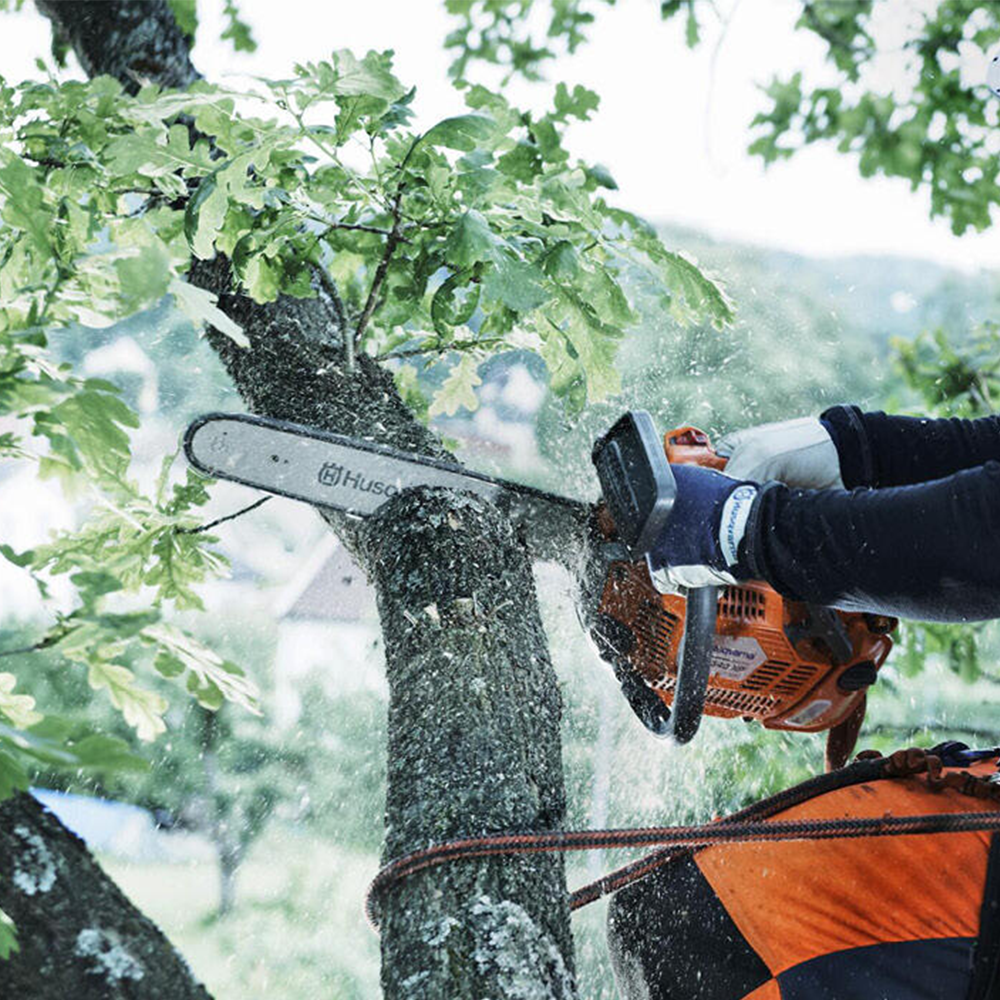 T540XP® Chainsaw