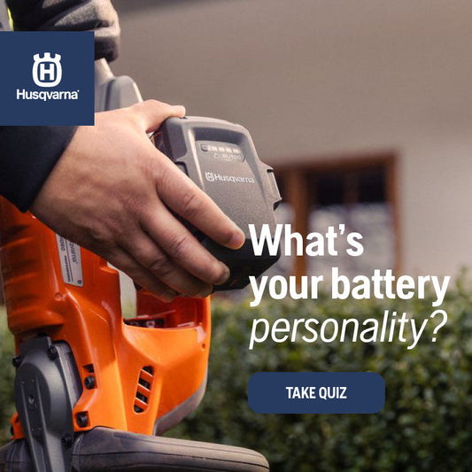What’s Your Battery Personality?