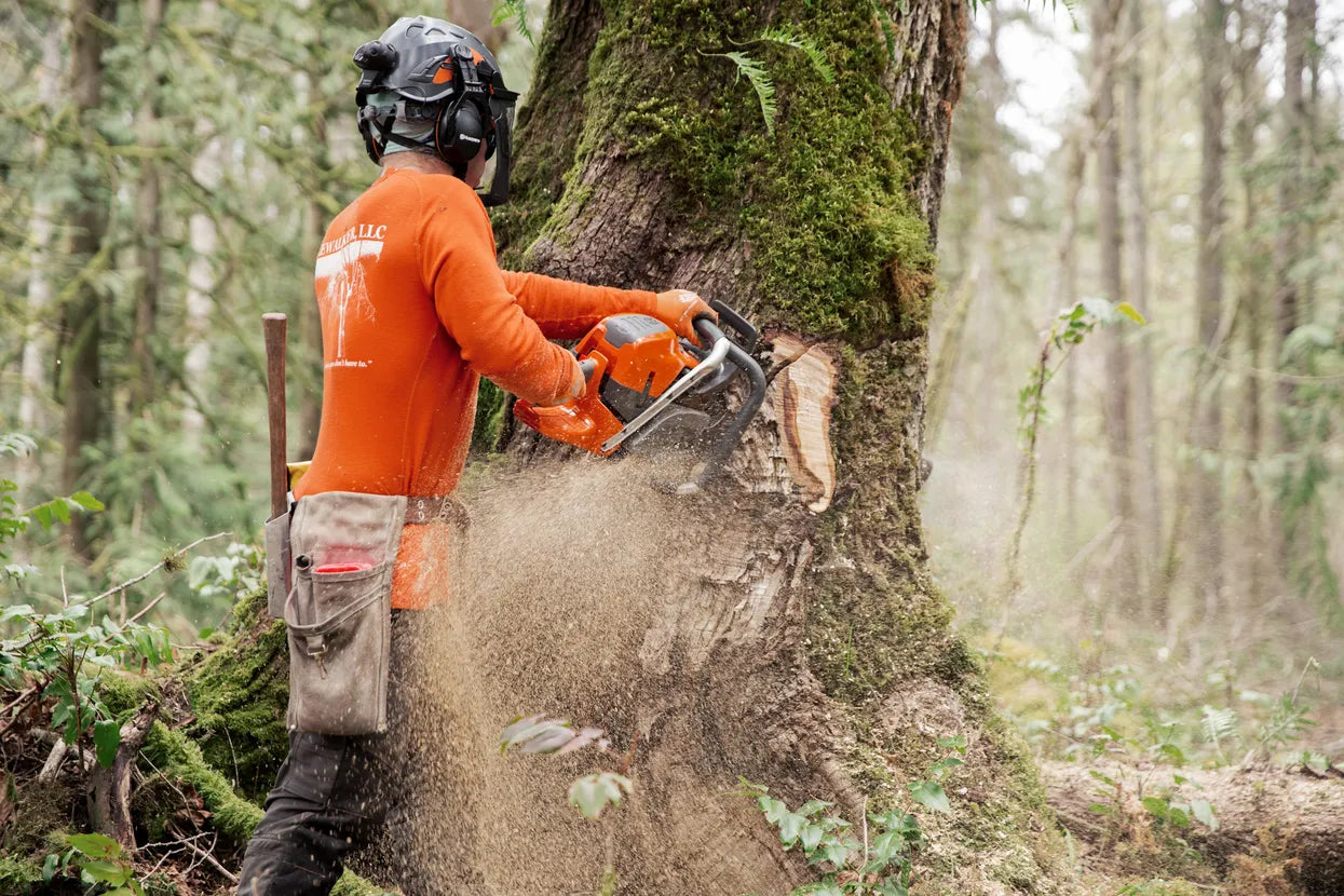 Husqvarna 592 XP Chainsaw