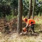 Husqvarna 272 XP Chainsaw 24"