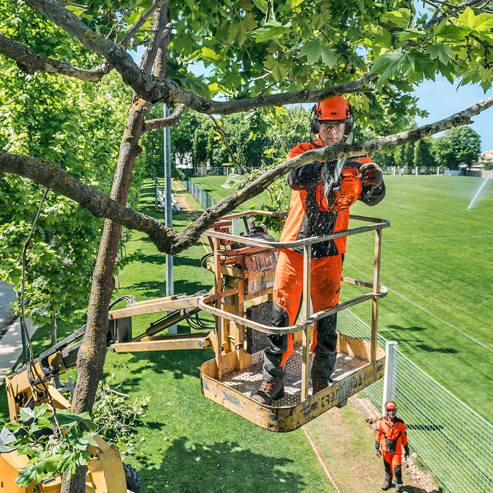 T435 chainsaw deals